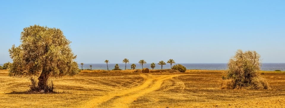 Film Locations Cyprus Agriculture Landscapes