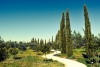 Film Locations Cyprus Agriculture Pathway