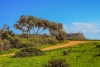 Film Locations Cyprus Oak Tree Fields